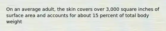 On an average adult, the skin covers over 3,000 square inches of surface area and accounts for about 15 percent of total body weight