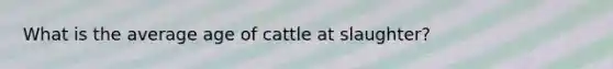 What is the average age of cattle at slaughter?
