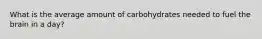 What is the average amount of carbohydrates needed to fuel the brain in a day?