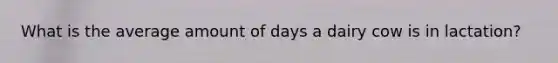 What is the average amount of days a dairy cow is in lactation?