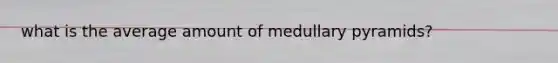 what is the average amount of medullary pyramids?