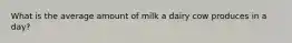 What is the average amount of milk a dairy cow produces in a day?