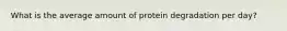 What is the average amount of protein degradation per day?