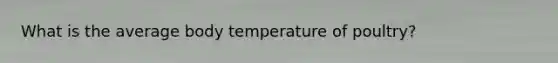 What is the average body temperature of poultry?