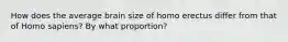 How does the average brain size of homo erectus differ from that of Homo sapiens? By what proportion?