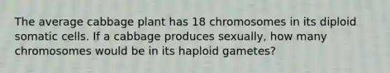 The average cabbage plant has 18 chromosomes in its diploid somatic cells. If a cabbage produces sexually, how many chromosomes would be in its haploid gametes?