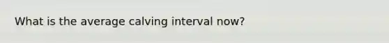 What is the average calving interval now?