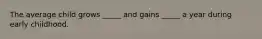 The average child grows _____ and gains _____ a year during early childhood.