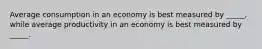 Average consumption in an economy is best measured by _____, while average productivity in an economy is best measured by _____.