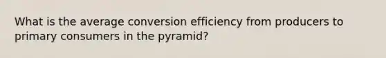 What is the average conversion efficiency from producers to primary consumers in the pyramid?