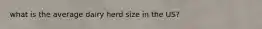 what is the average dairy herd size in the US?