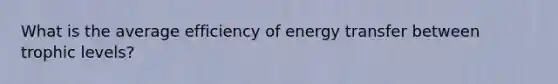 What is the average efficiency of energy transfer between trophic levels?