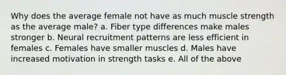 Why does the average female not have as much muscle strength as the average male? a. Fiber type differences make males stronger b. Neural recruitment patterns are less efficient in females c. Females have smaller muscles d. Males have increased motivation in strength tasks e. All of the above