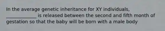 In the average genetic inheritance for XY individuals, _____________ is released between the second and fifth month of gestation so that the baby will be born with a male body