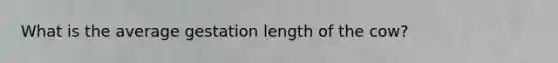 What is the average gestation length of the cow?