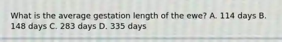 What is the average gestation length of the ewe? A. 114 days B. 148 days C. 283 days D. 335 days