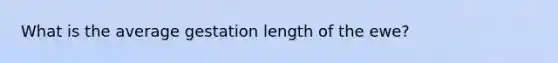 What is the average gestation length of the ewe?