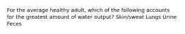 For the average healthy adult, which of the following accounts for the greatest amount of water output? Skin/sweat Lungs Urine Feces