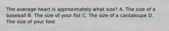 The average heart is approximately what size? A. The size of a baseball B. The size of your fist C. The size of a cantaloupe D. The size of your foot