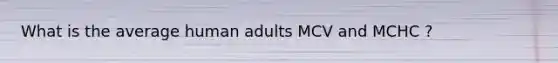 What is the average human adults MCV and MCHC ?