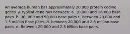 An average human has approximately 20,000 protein coding genes. A typical gene has between: a. 10,000 and 18,000 base pairs. b. 30, 000 and 90,000 base pairs c. between 20,000 and 1.3 million base pairs. d. between 20,000 and 2.3 million base pairs. e. Between 20,000 and 2.3 billion base pairs.