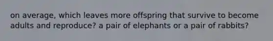 on average, which leaves more offspring that survive to become adults and reproduce? a pair of elephants or a pair of rabbits?