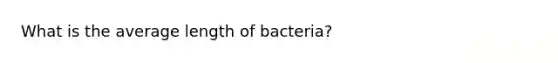 What is the average length of bacteria?