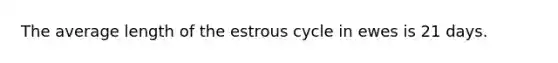 The average length of the estrous cycle in ewes is 21 days.