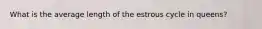 What is the average length of the estrous cycle in queens?