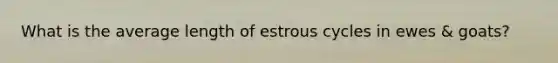 What is the average length of estrous cycles in ewes & goats?