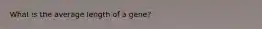 What is the average length of a gene?