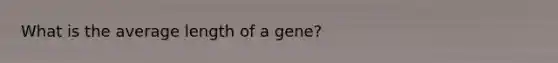 What is the average length of a gene?