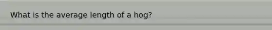 What is the average length of a hog?