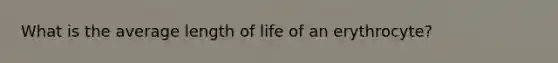 What is the average length of life of an erythrocyte?