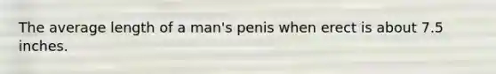 The average length of a man's penis when erect is about 7.5 inches.