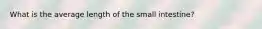 What is the average length of the small intestine?