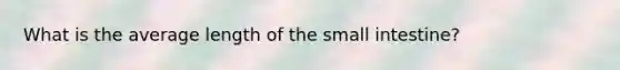 What is the average length of the small intestine?