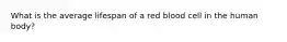 What is the average lifespan of a red blood cell in the human body?