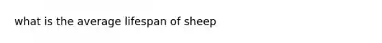 what is the average lifespan of sheep