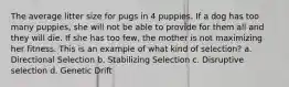 The average litter size for pugs in 4 puppies. If a dog has too many puppies, she will not be able to provide for them all and they will die. If she has too few, the mother is not maximizing her fitness. This is an example of what kind of selection? a. Directional Selection b. Stabilizing Selection c. Disruptive selection d. Genetic Drift