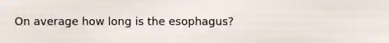 On average how long is the esophagus?