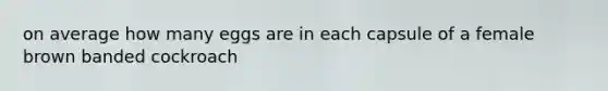 on average how many eggs are in each capsule of a female brown banded cockroach