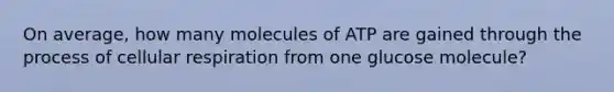 On average, how many molecules of ATP are gained through the process of cellular respiration from one glucose molecule?