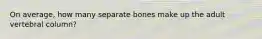 On average, how many separate bones make up the adult vertebral column?