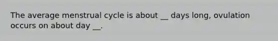 The average menstrual cycle is about __ days long, ovulation occurs on about day __.