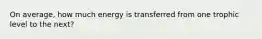 On average, how much energy is transferred from one trophic level to the next?