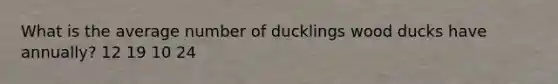 What is the average number of ducklings wood ducks have annually? 12 19 10 24