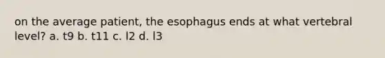 on the average patient, the esophagus ends at what vertebral level? a. t9 b. t11 c. l2 d. l3