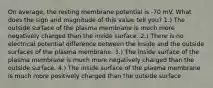 On average, the resting membrane potential is -70 mV. What does the sign and magnitude of this value tell you? 1.) The outside surface of the plasma membrane is much more negatively charged than the inside surface. 2.) There is no electrical potential difference between the inside and the outside surfaces of the plasma membrane. 3.) The inside surface of the plasma membrane is much more negatively charged than the outside surface. 4.) The inside surface of the plasma membrane is much more positively charged than the outside surface