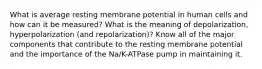 What is average resting membrane potential in human cells and how can it be measured? What is the meaning of depolarization, hyperpolarization (and repolarization)? Know all of the major components that contribute to the resting membrane potential and the importance of the Na/K-ATPase pump in maintaining it.